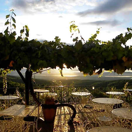 Hotel De La Tour De Brison 3*